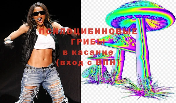 метадон Арсеньев