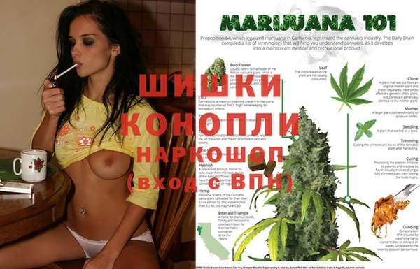 бошки Новодвинск