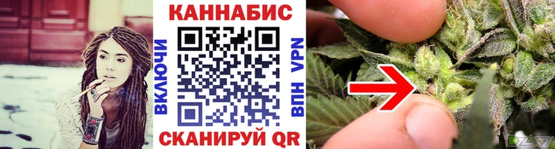 где купить наркотик  Ртищево  Каннабис SATIVA & INDICA 